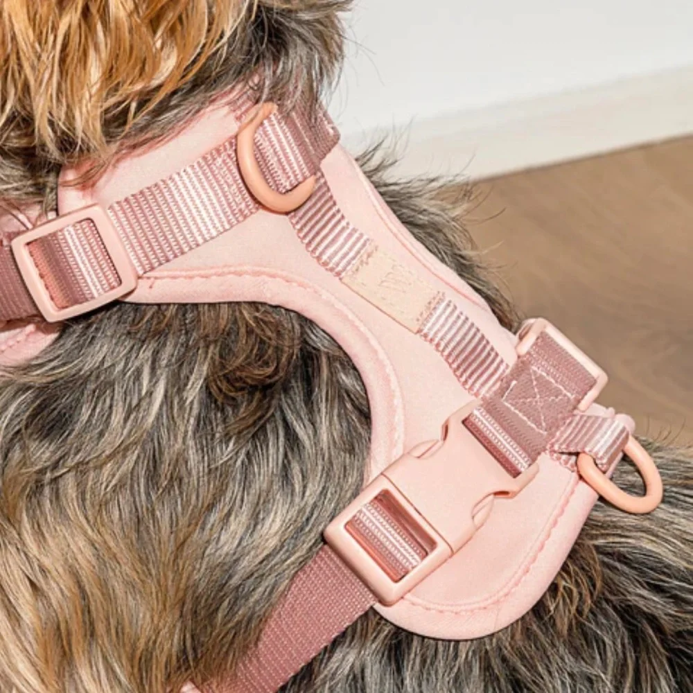 Wild One Dog Harness 3.0 - Large - Pink